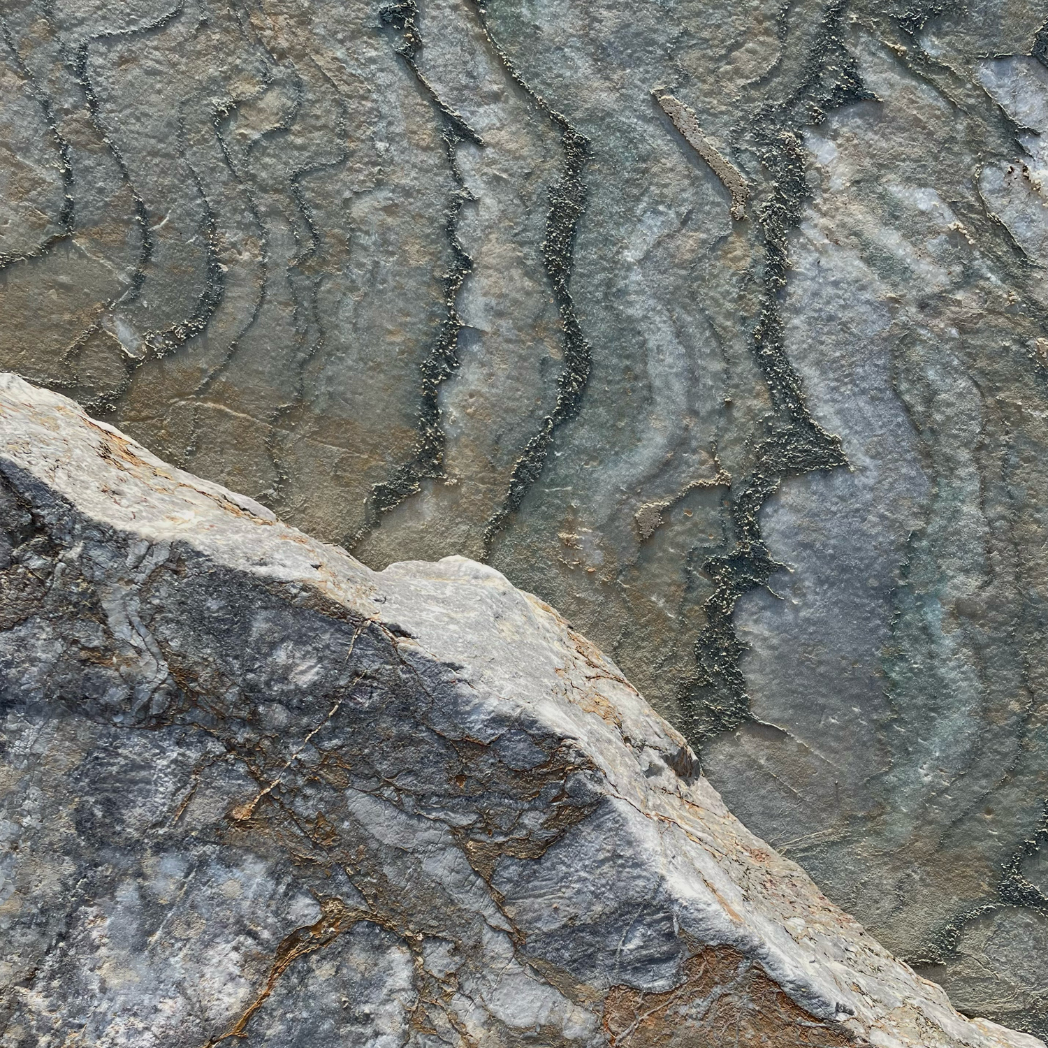 nature_2