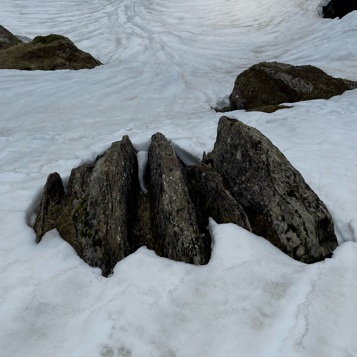 nature_5